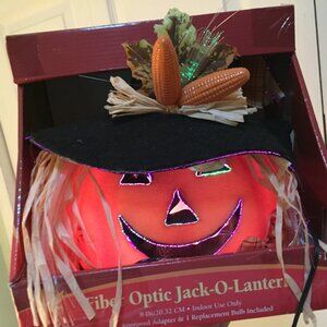 Fiber Optic Pumpkin Jack-O-Lantern Color Changing Jack O Lantern 8" W/Adapter  T